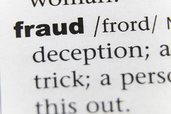 Definiton of fraud